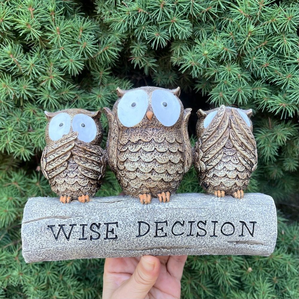 Hallmark Wise Decision Owl Figurine